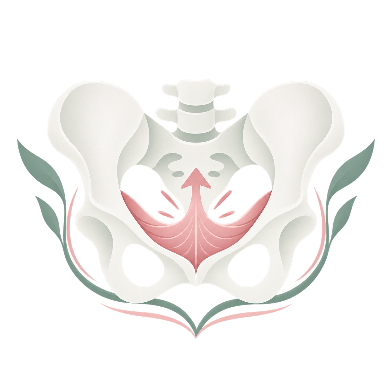 Ilustración suelo pélvico